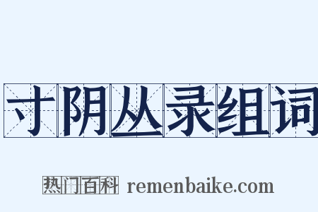 寸阴丛录组词是什么意思的图片